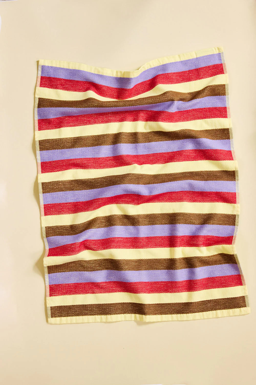 Dish Towel // Soup // Set of 2