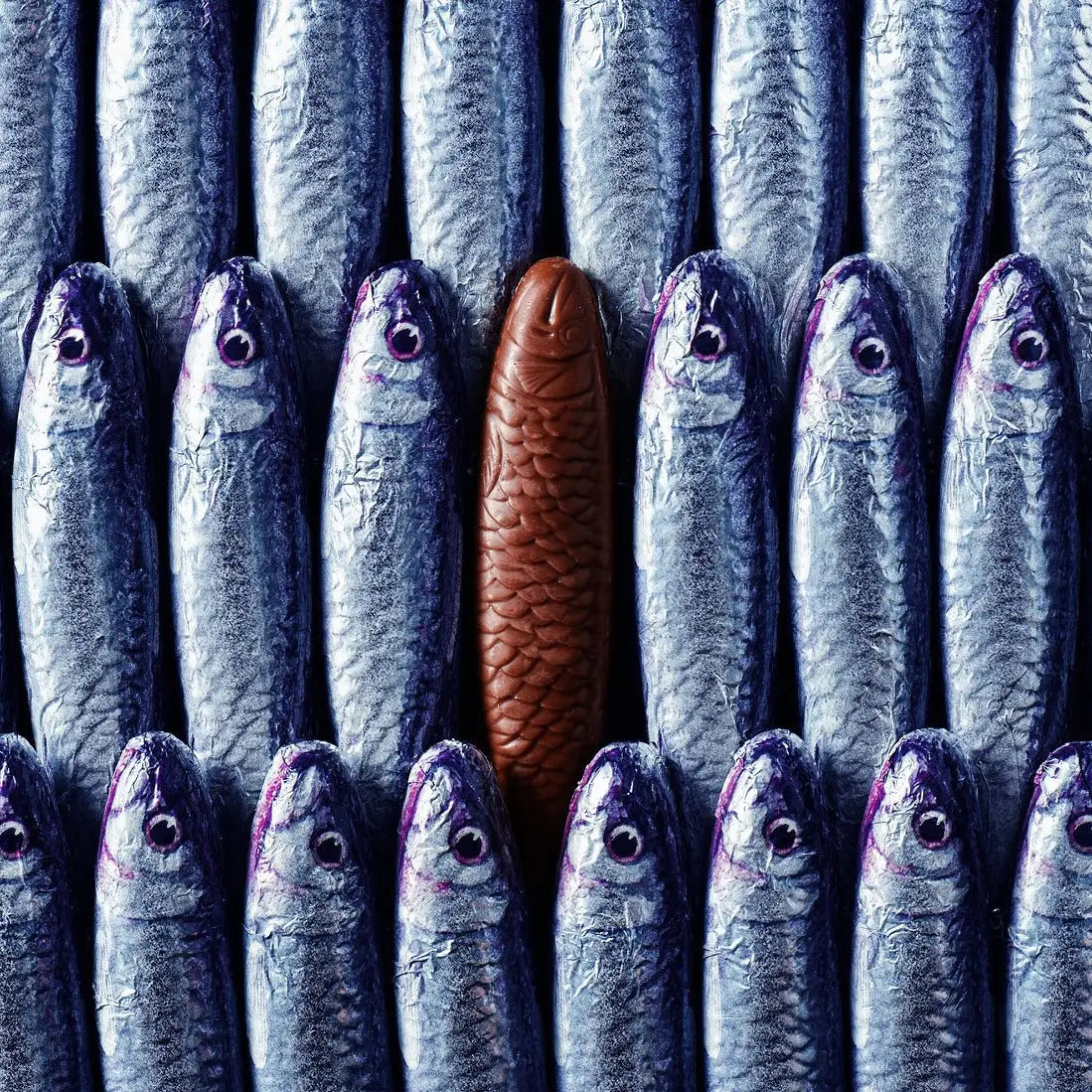 Milk Chocolate Sardines in a Box