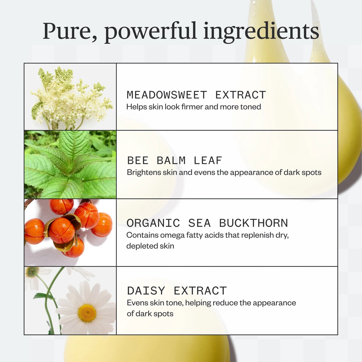 List of skincare ingredients with corresponding images and descriptions on a white background.