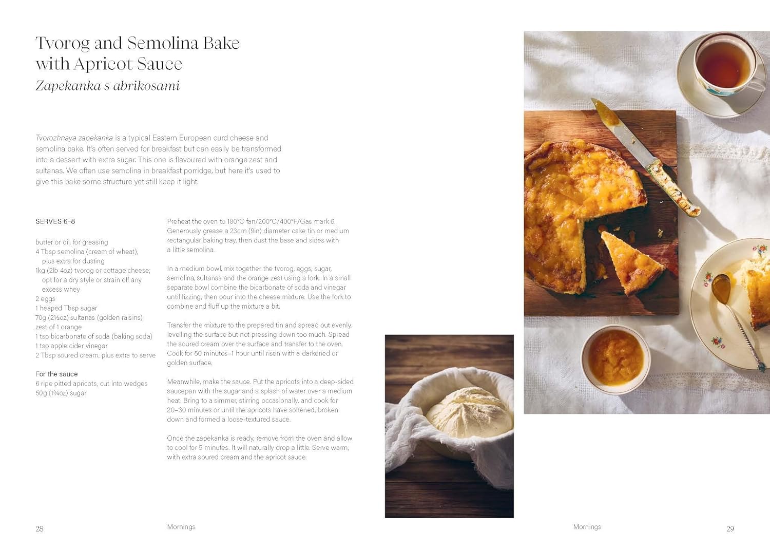 Sour Cherries & Sunflowers