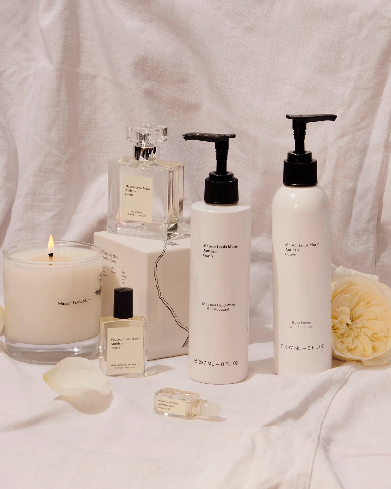 Body Lotion // Cassis
