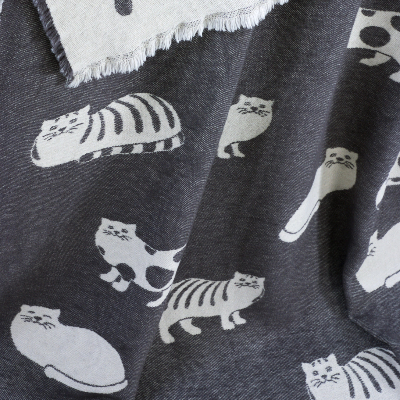 Cozy Kitties // 100% Cotton Throw // Black