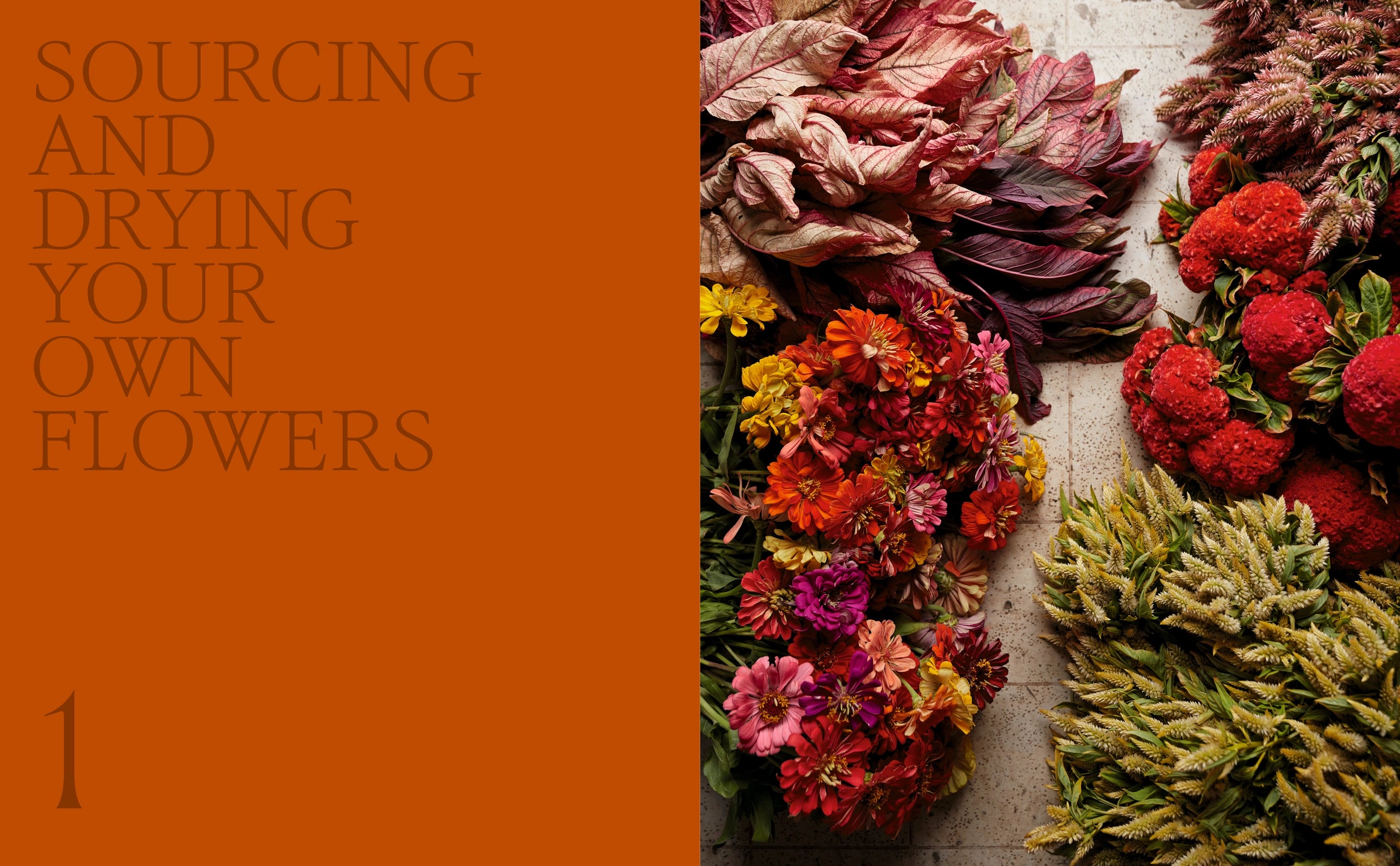 dried flowers