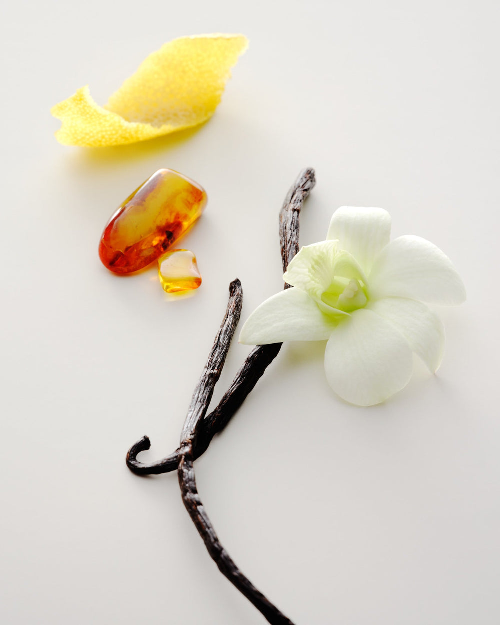 vanilla beans, amber, a citrus peel and a white flower