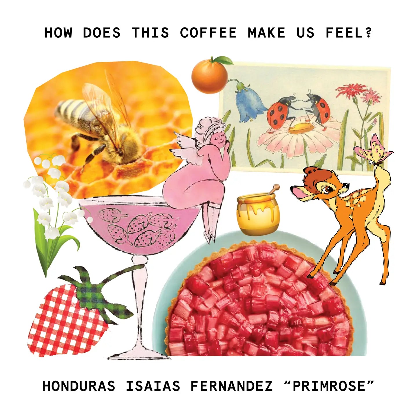 Primrose // A Springtime Coffee // Limited Edition