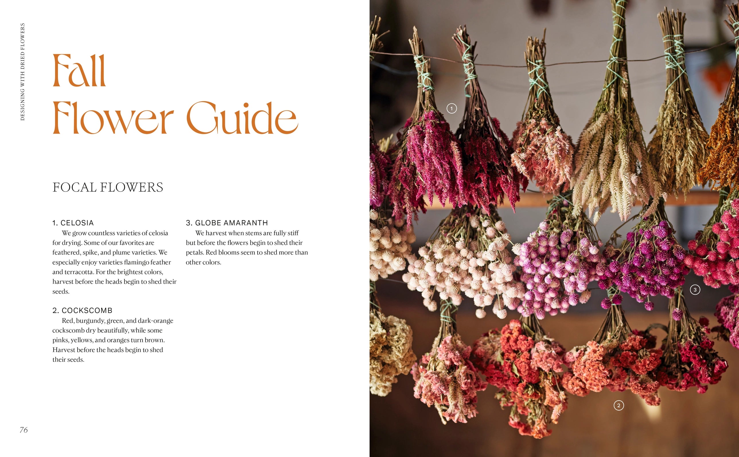 book interior with dried flowers