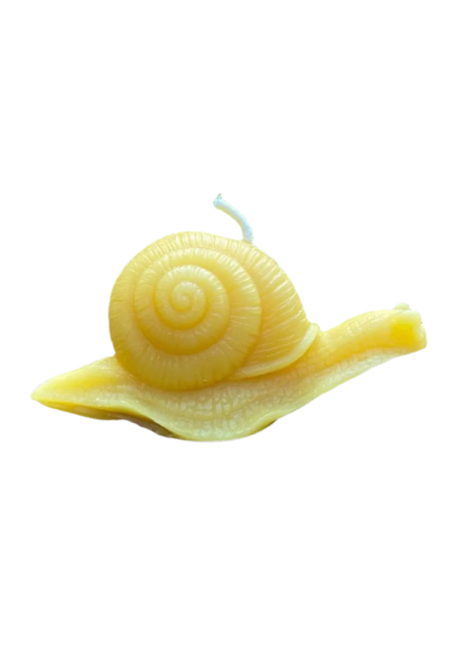 Snail Beeswax Candle