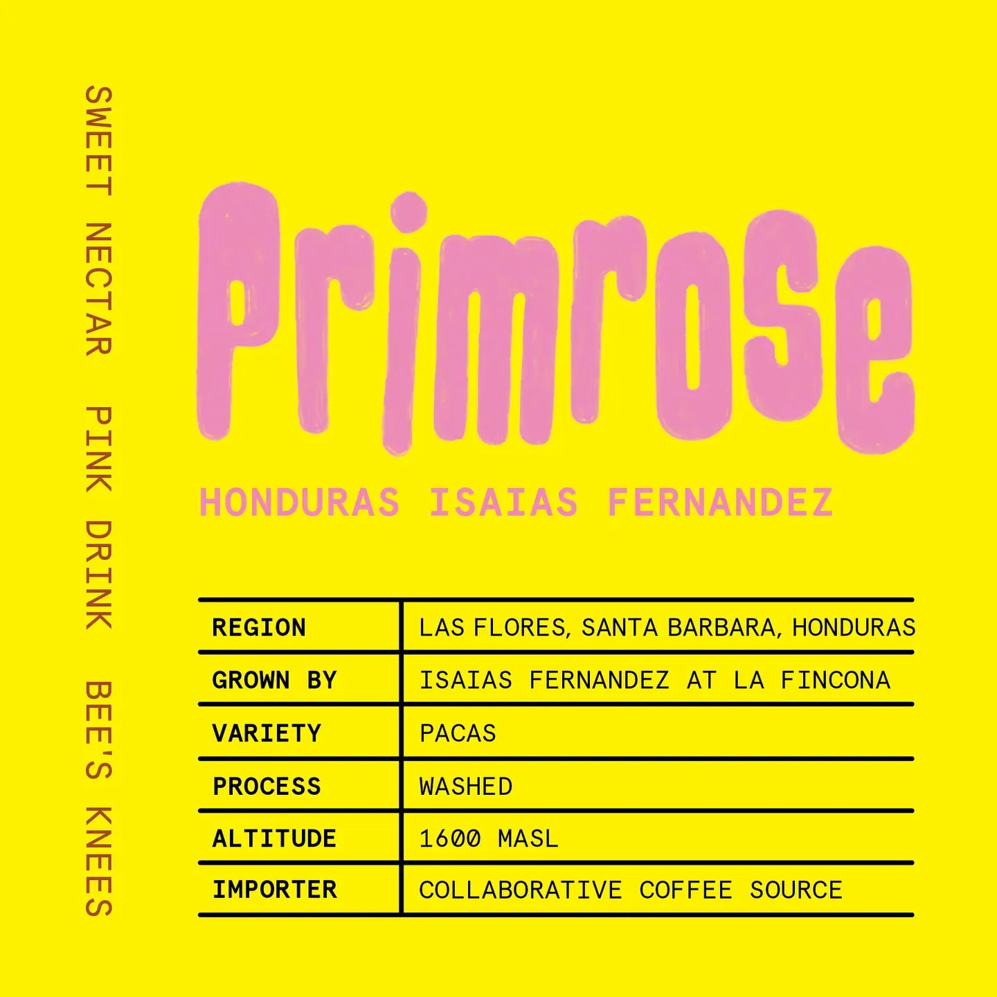 Primrose // A Springtime Coffee // Limited Edition