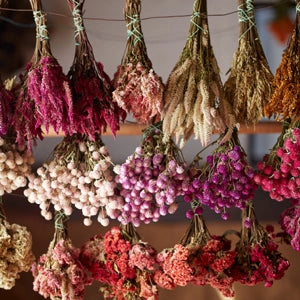 Designing with Dried Flowers