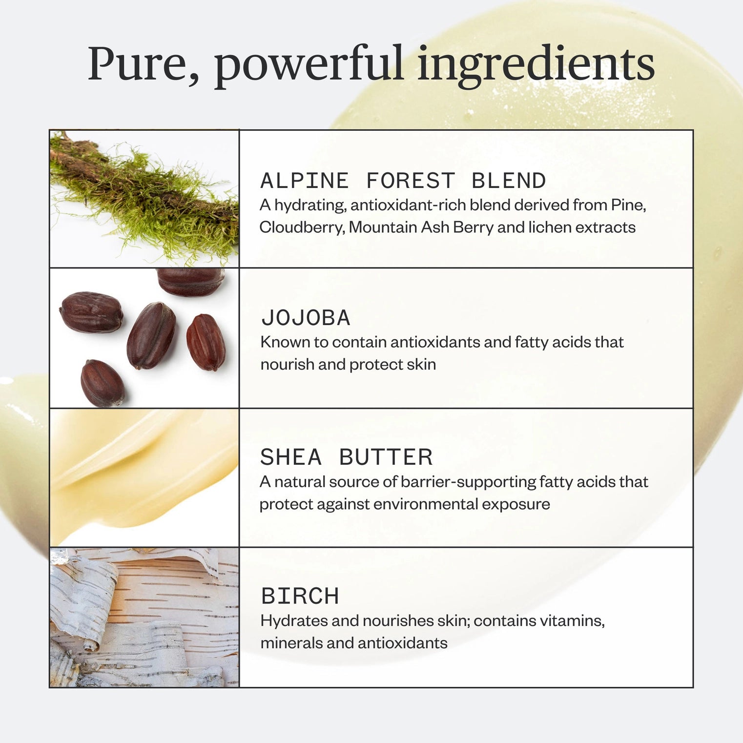 List of skincare ingredients with images and descriptions on a white background