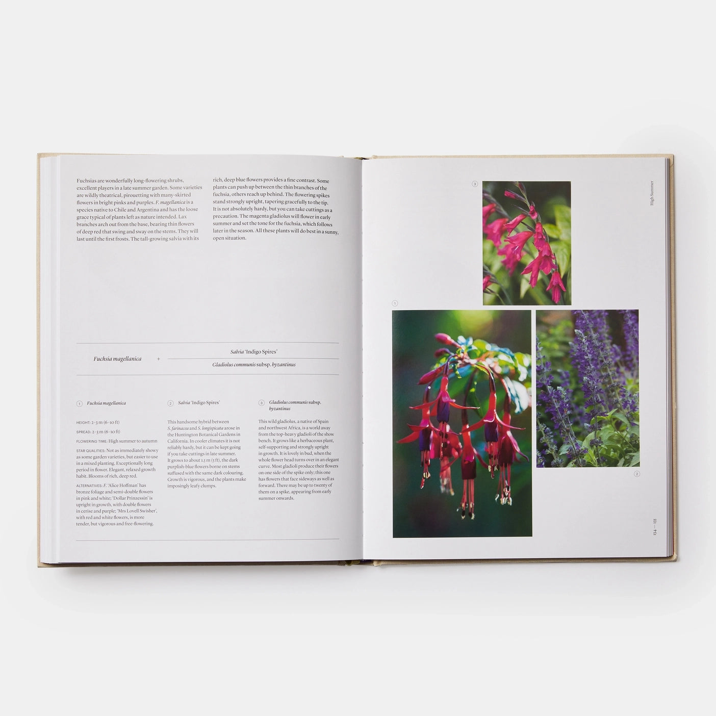 Seasonal Gardener- Creative Planting Combinations