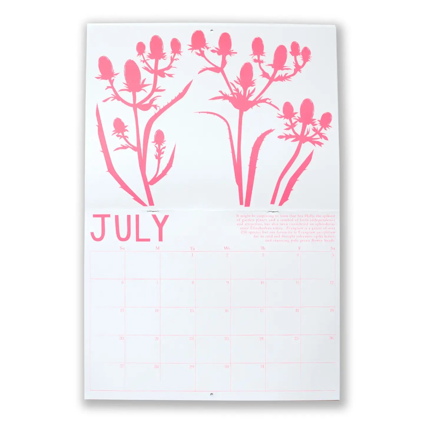 2025 Calendar // Drought Tolerant Plants