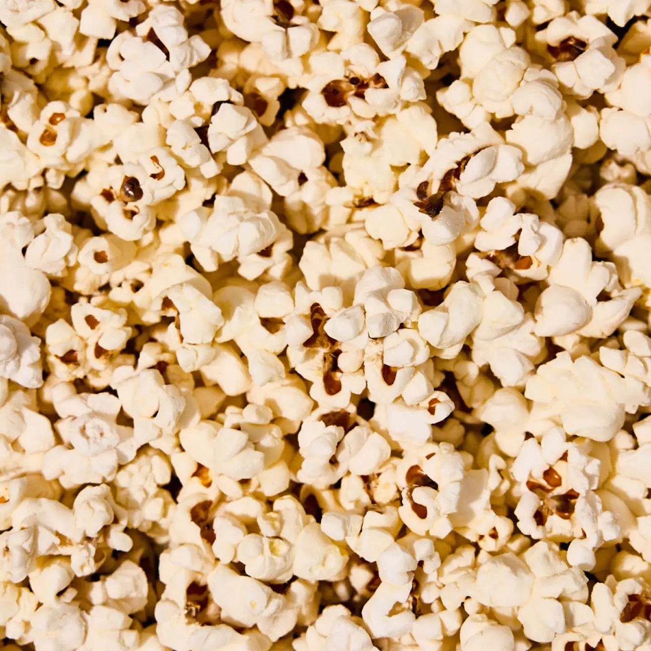 Graza x BjornCorn // Olive Oil + Sea Salt Popcorn // *Available for In-Store Pick Up Only