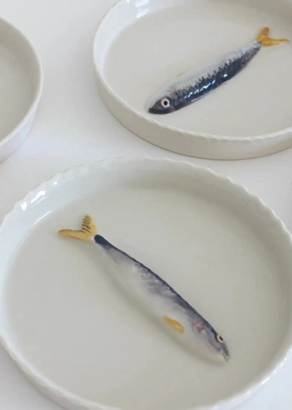 Sardine Tray