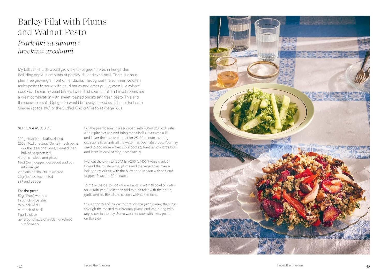 Sour Cherries & Sunflowers