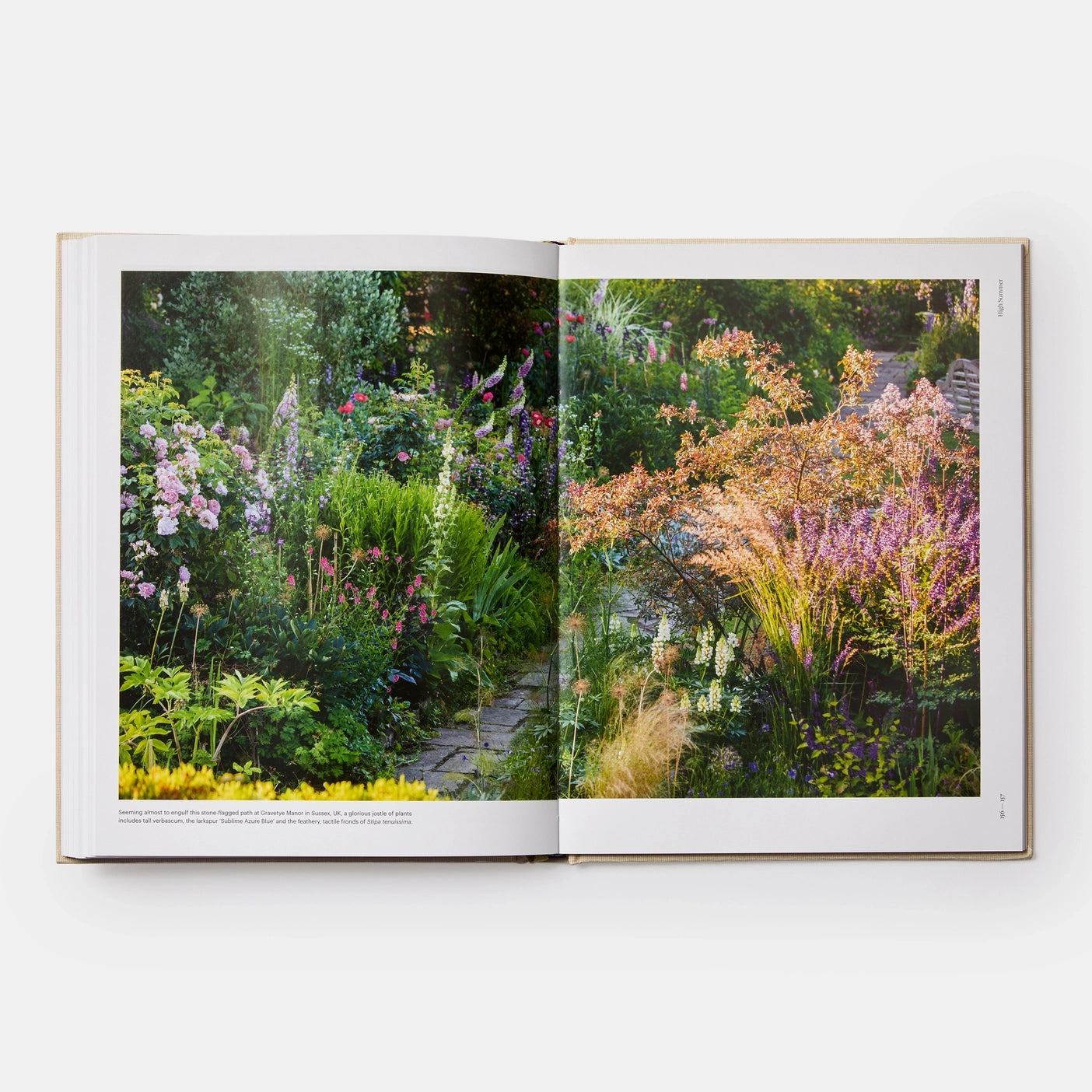 Seasonal Gardener- Creative Planting Combinations