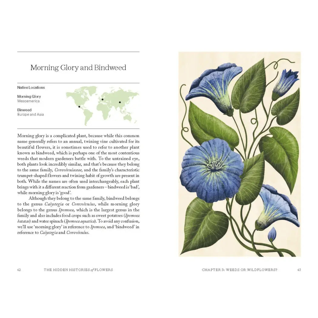 The Hidden Histories of Flowers