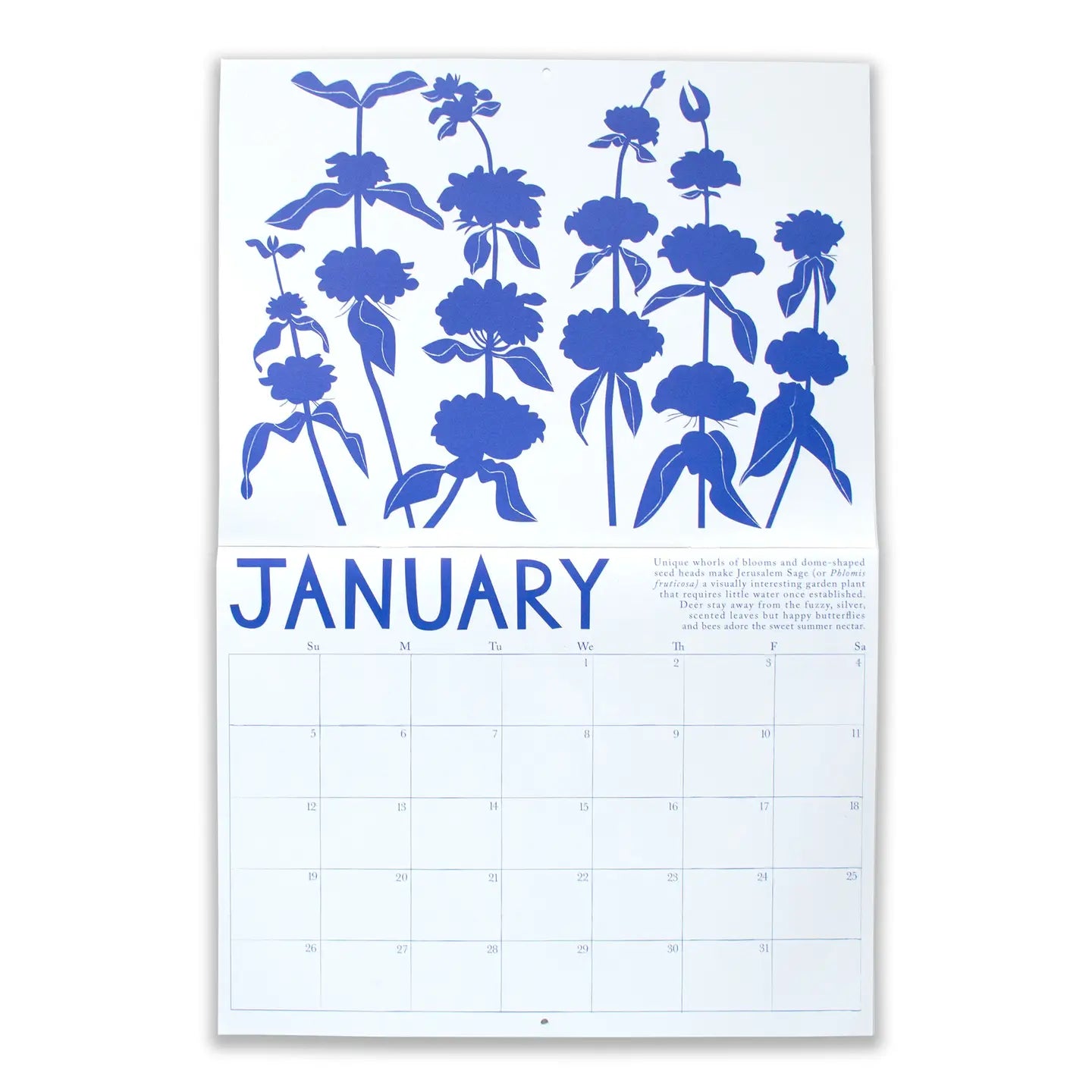 2025 Calendar // Drought Tolerant Plants