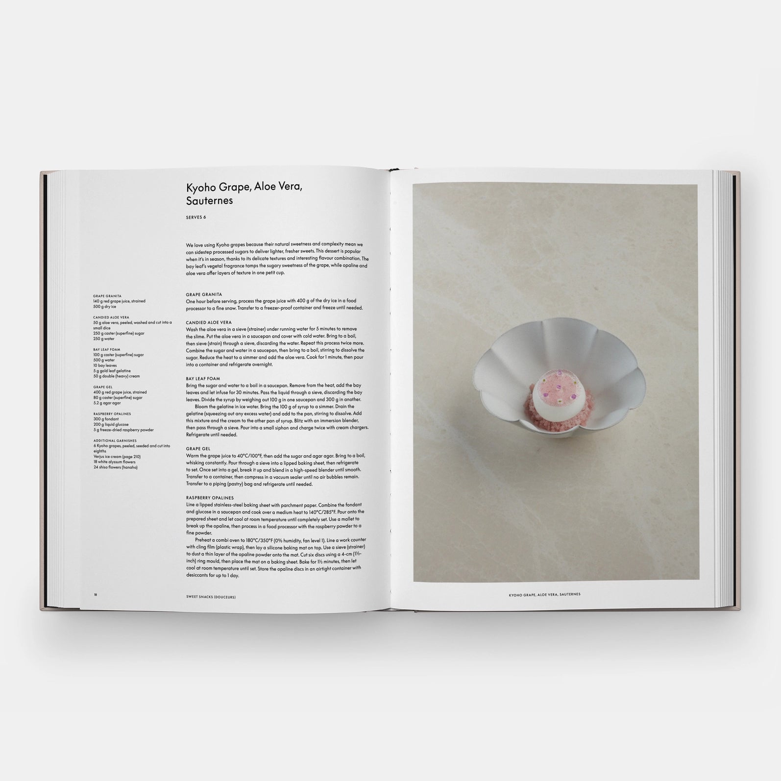 Open book with text on the left and a photograph of a dessert on the right.