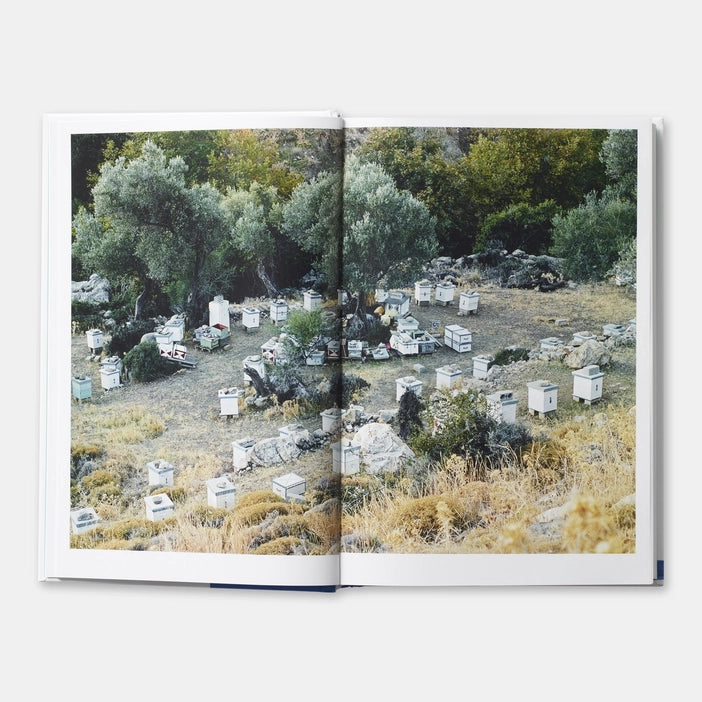 Open book showing an aerial view of bee hives in a natural setting.