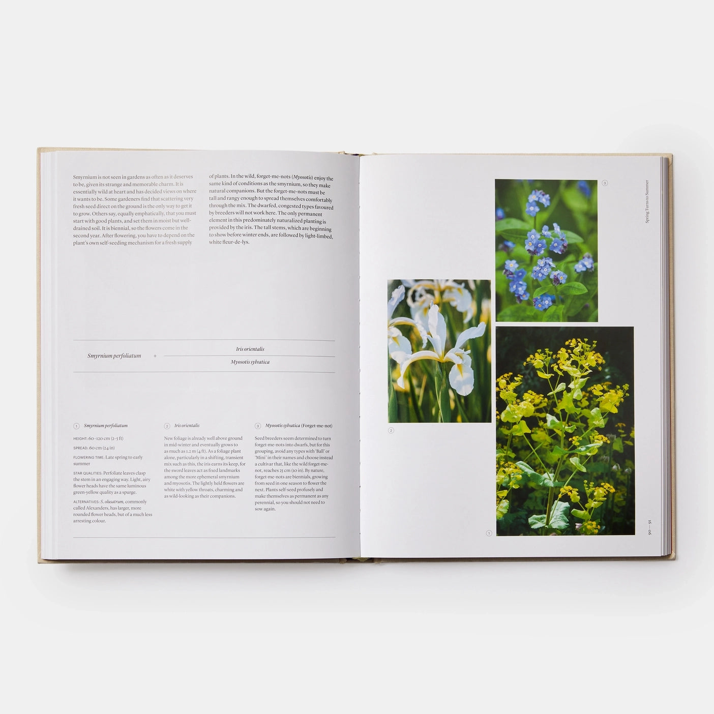 Seasonal Gardener- Creative Planting Combinations