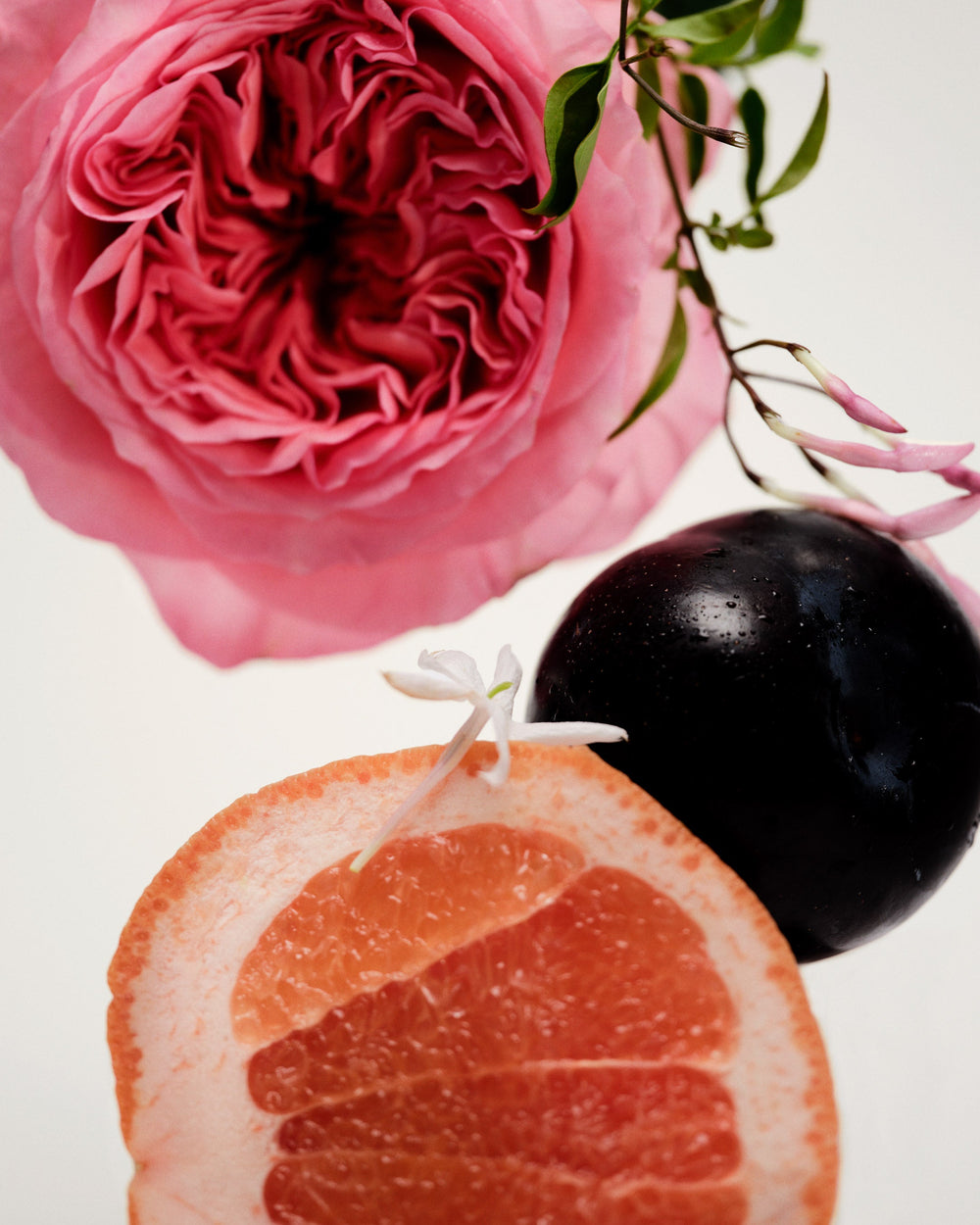 rose, jasmine, plum and grapefruit