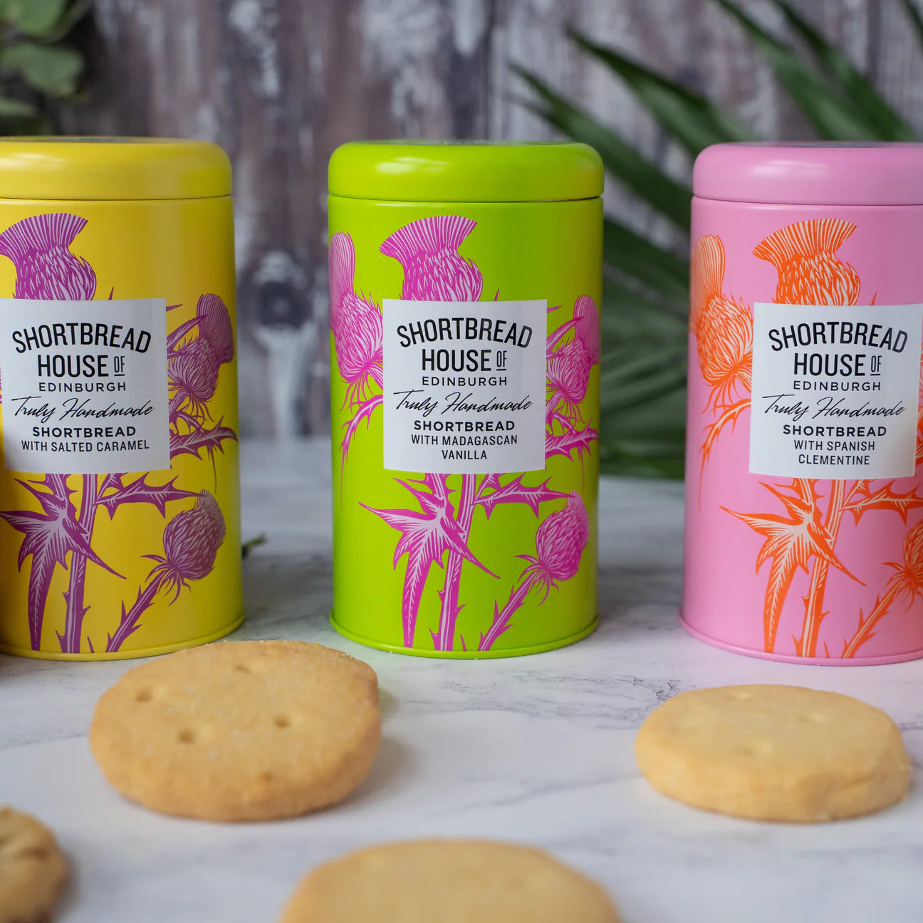 Spanish Clementine // Shortbread Biscuts Tin