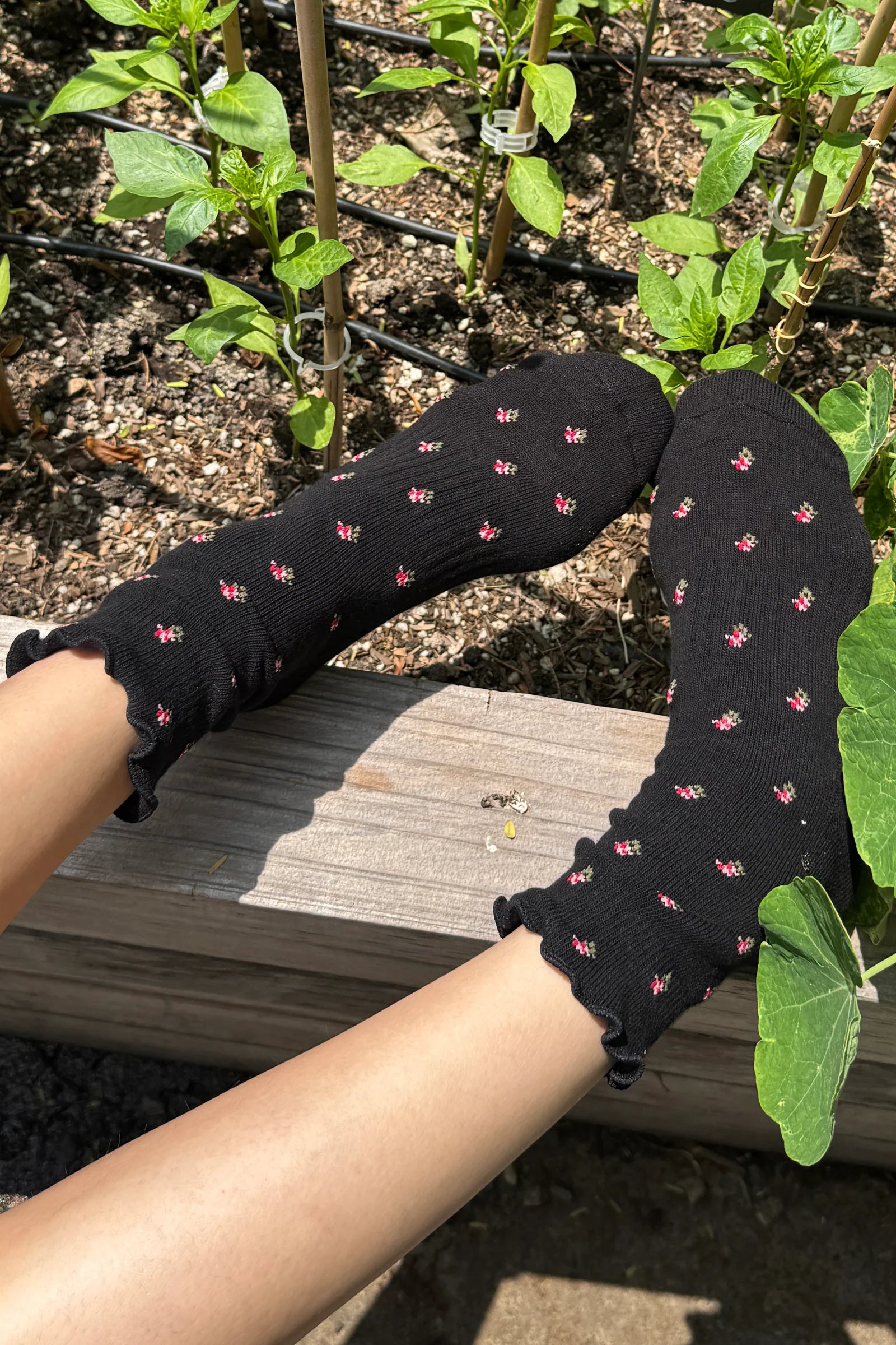 Person wearing black socks with pink patterns in a garden setting