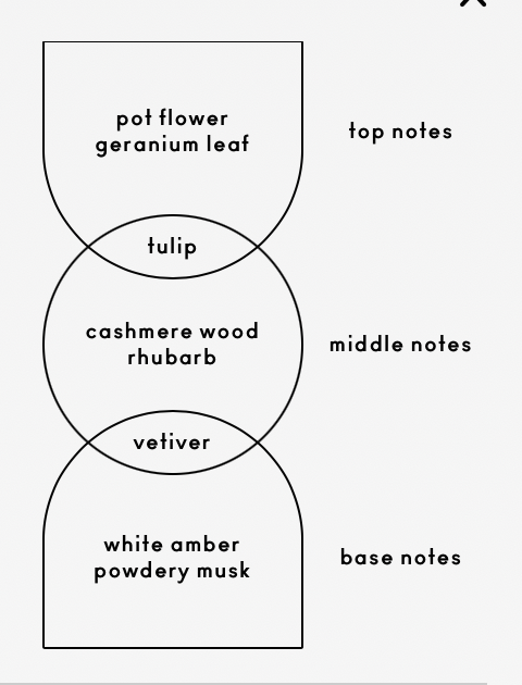 Cashmere Kush Candle // Woodsy + Botanical