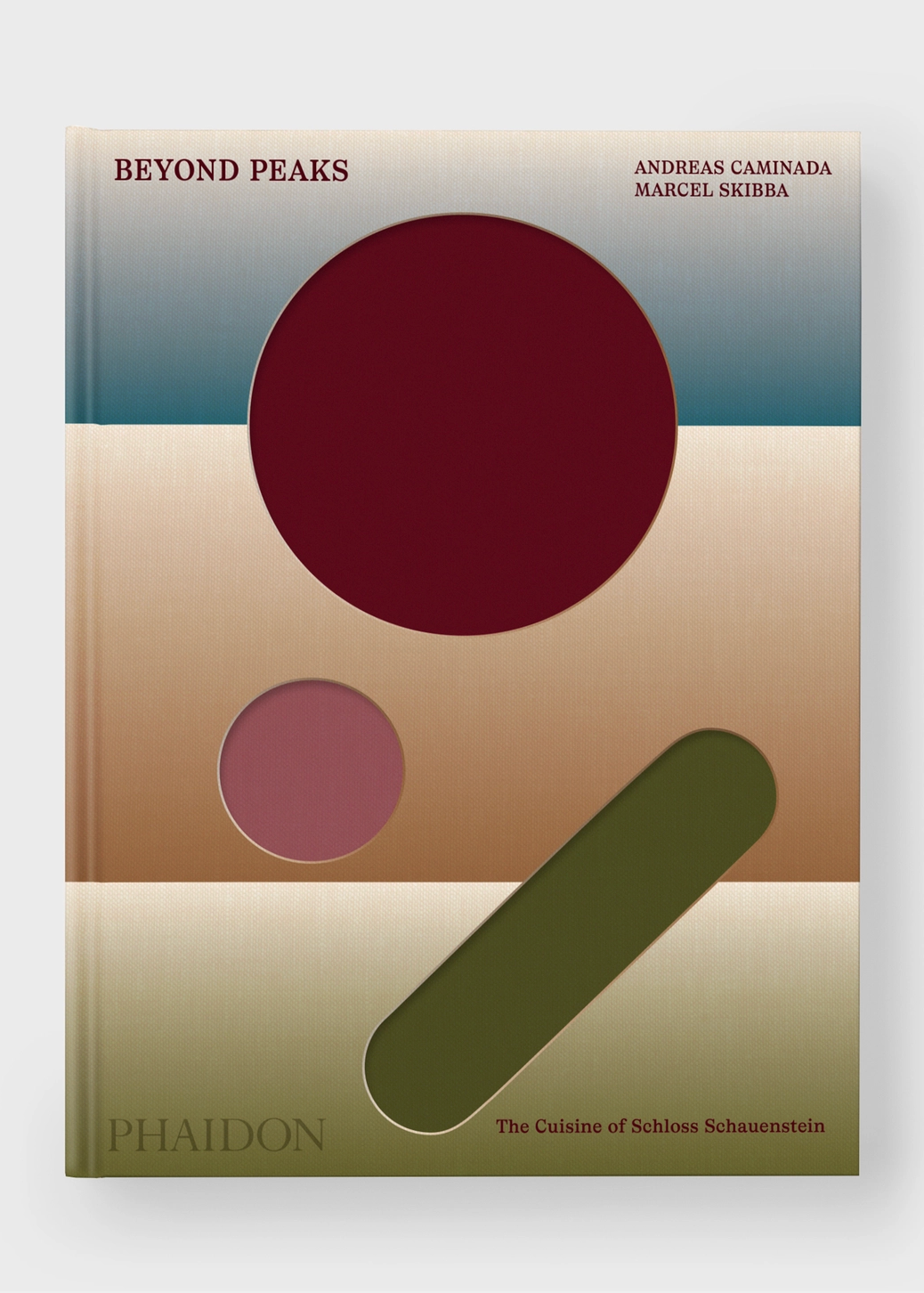 book cover with design of 2 circles and an eclair adjacent shape. Colors range from blue, coffee, berry and green. 