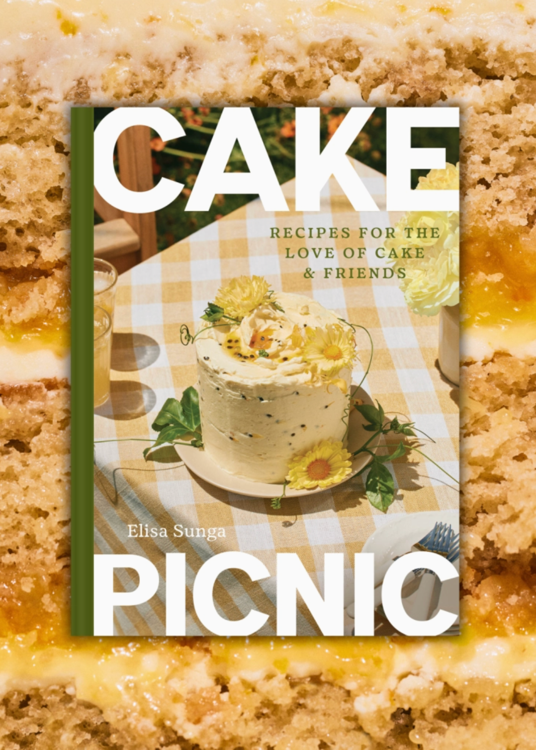 Cake Picnic