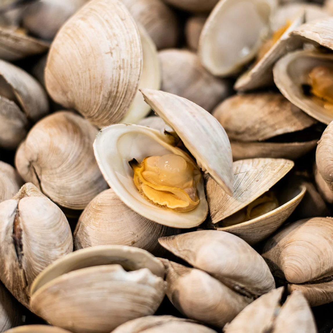 Littleneck Clams w/ Confit Garlic, Chili, and Olive Oil