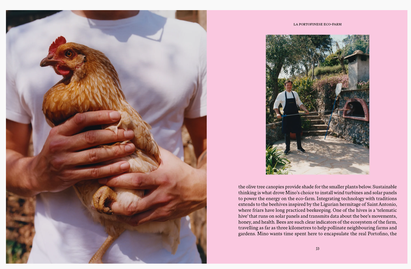 Apartamento LIGURIA: Recipes & Wanderings Along the Italian Rivera