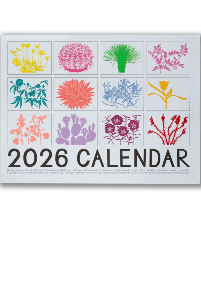 2026 High Dessert Plants // Day Glo