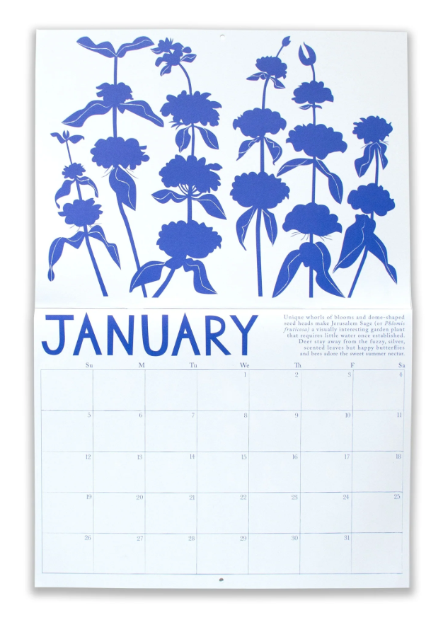 2026 High Dessert Plants // Day Glo