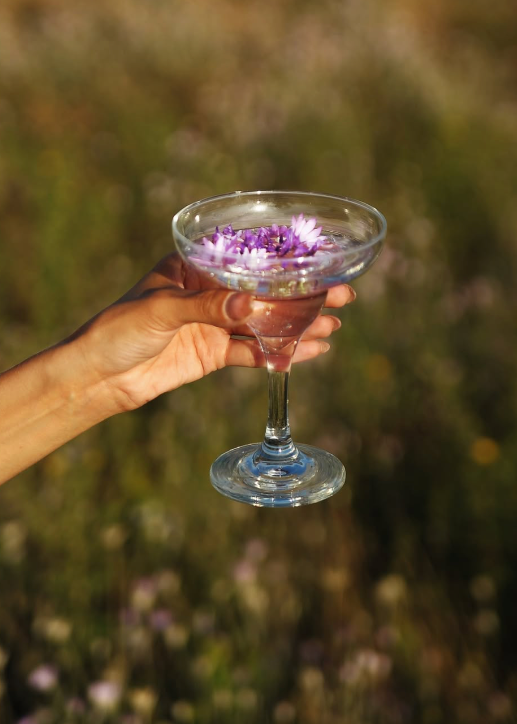 A hand holding a clear coupe-style glass filled with pink liquid and small purple flowers, set against a blurred outdoor field background.