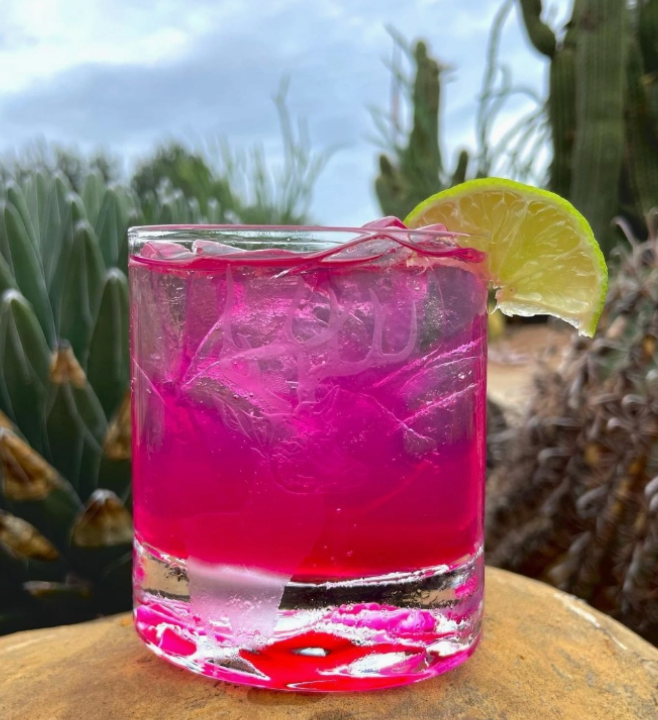 bright magenta pink prickly pear cocktail with ice and lime wedge in a dessert setting