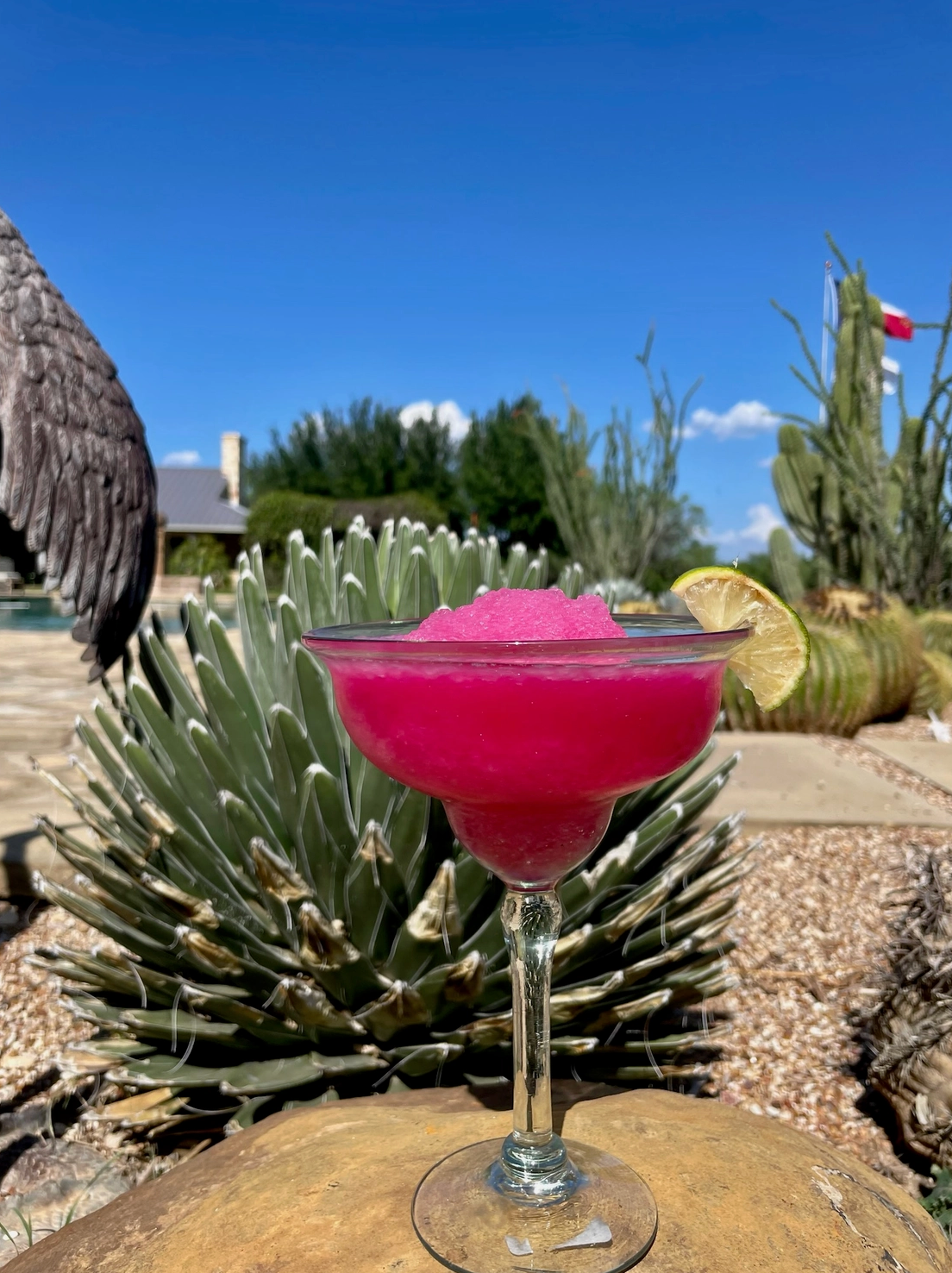bright magenta pink prickly pear cocktail with ice and lime wedge in a dessert setting