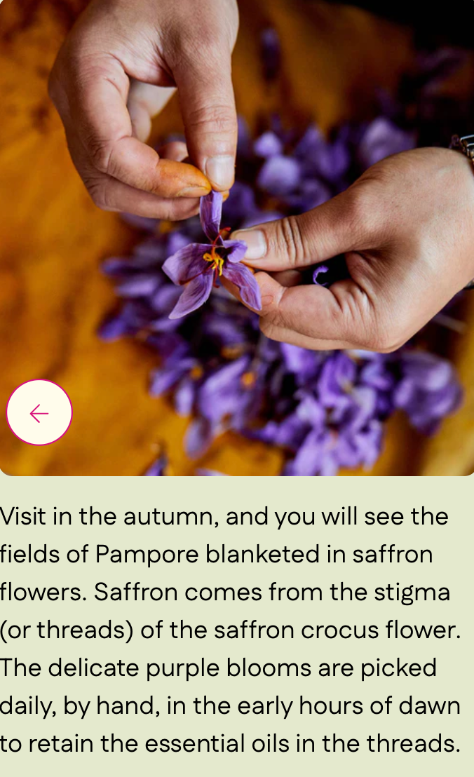 Kashmiri Saffron (Grade A Threads) - Single-Origin Spice