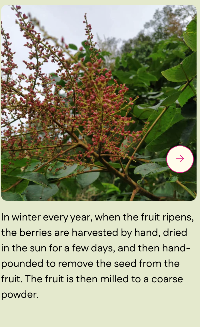 Diaspora Co.Wild Heimang Sumac (Powder) - Single-Origin Spice