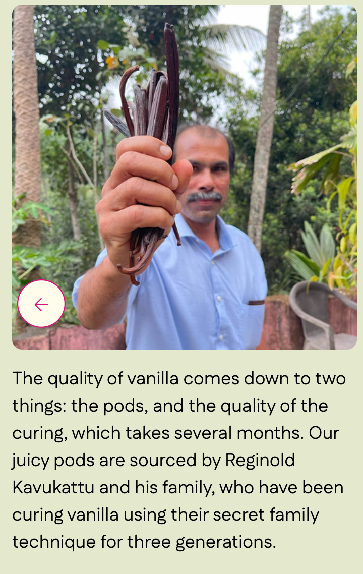 Kaveri Vanilla (Whole Beans) - Single-Origin Spice