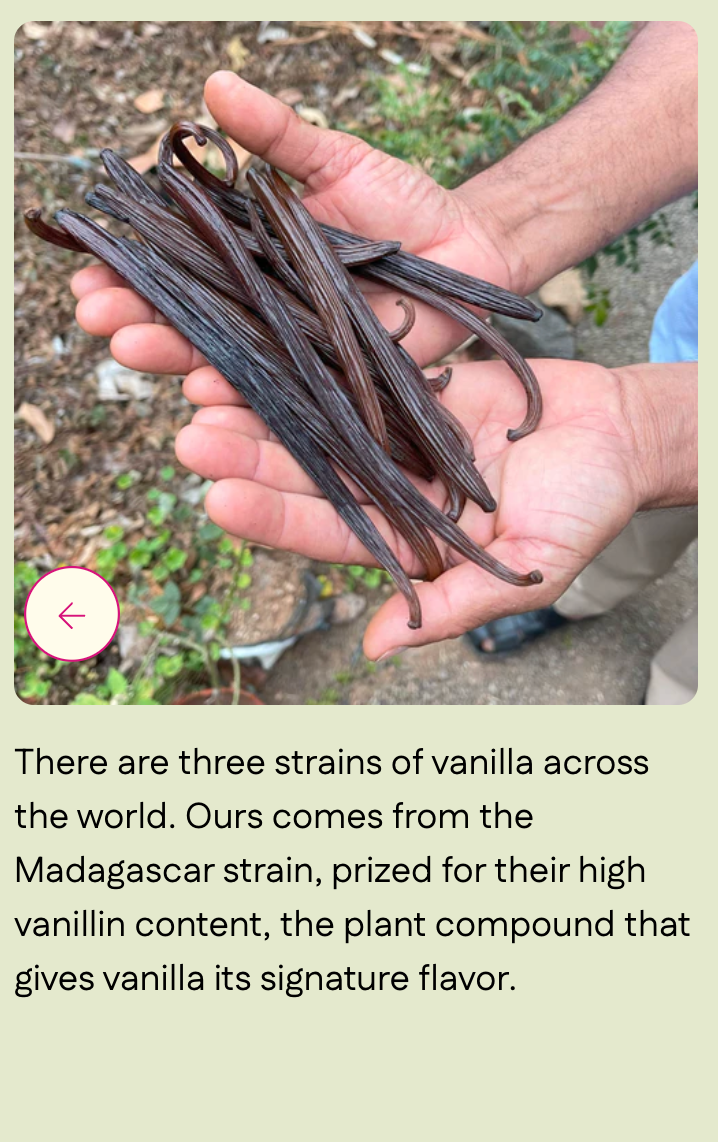 Kaveri Vanilla (Whole Beans) - Single-Origin Spice