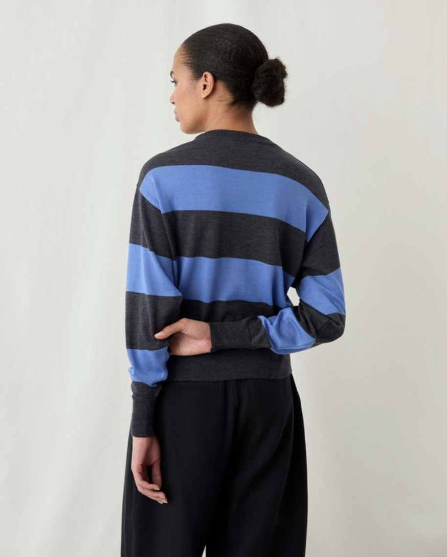 A model shown from the back wearing a long-sleeve crewneck sweater with horizontal stripes in dark charcoal gray and medium blue, paired with black pants, against a plain off-white studio background.
