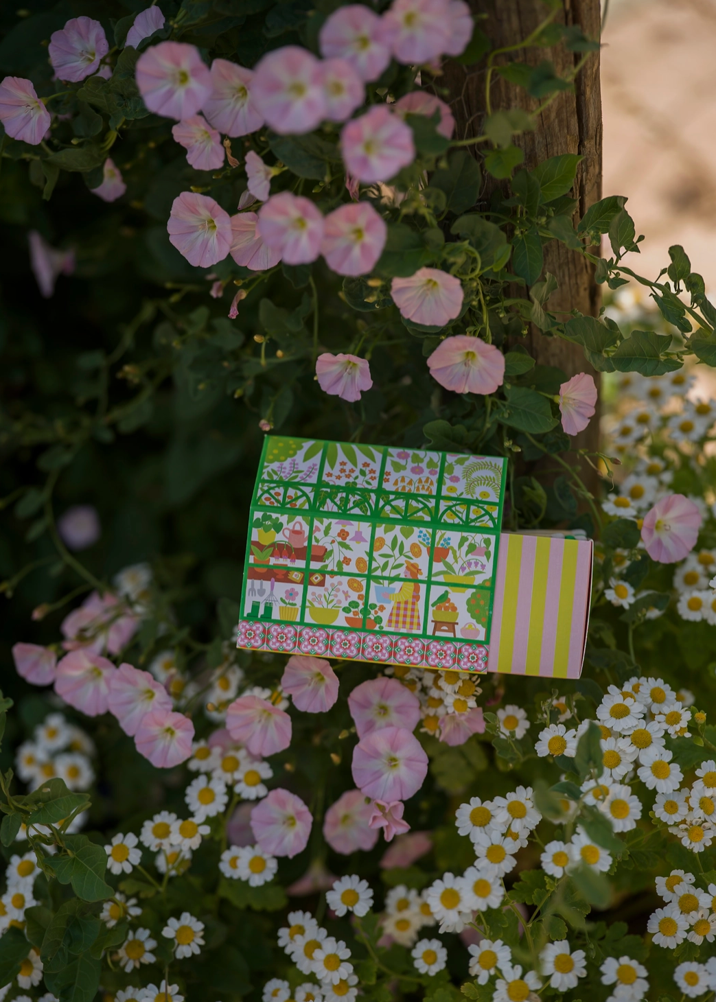 match house set amongst pink and chamomile flowers