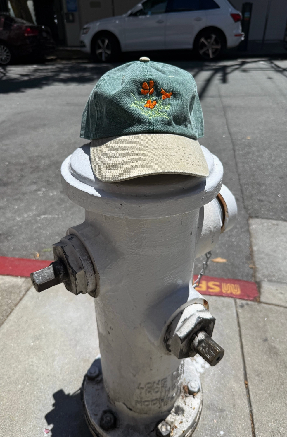 hat on top of a white fire hydrant 