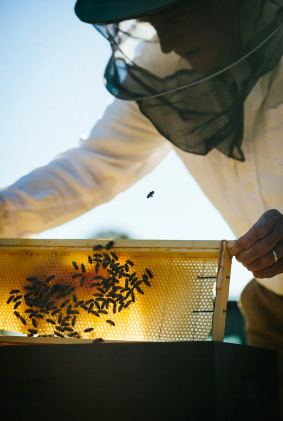 beekeeper 