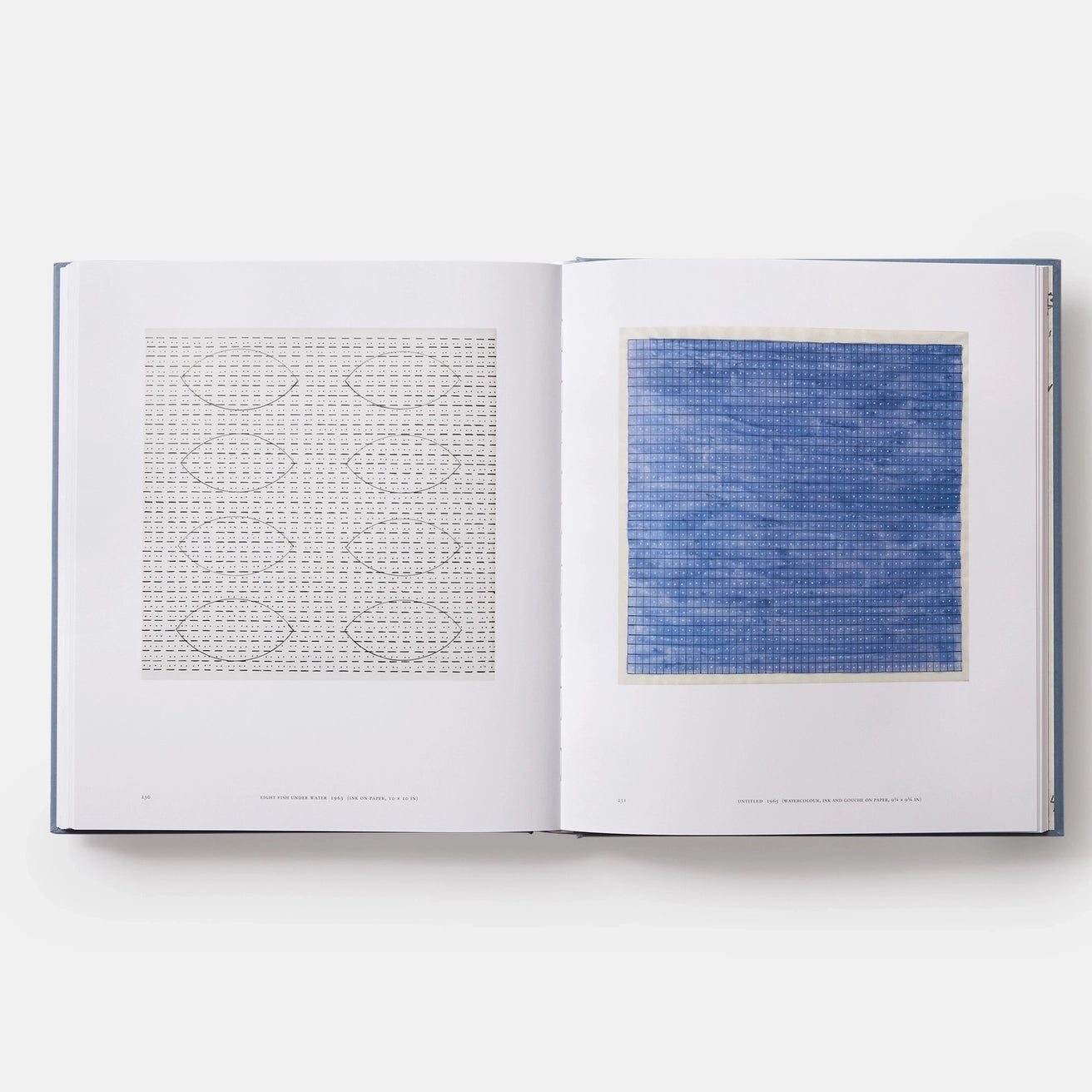 Agnes Martin: Paintings, Writings, Remembrances