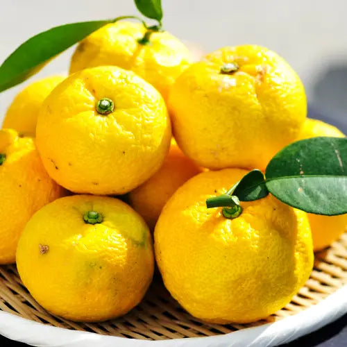 Candied Japanese Yuzu Peel