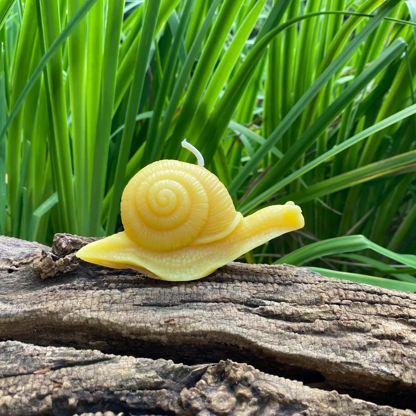 Snail // Beeswax Candle