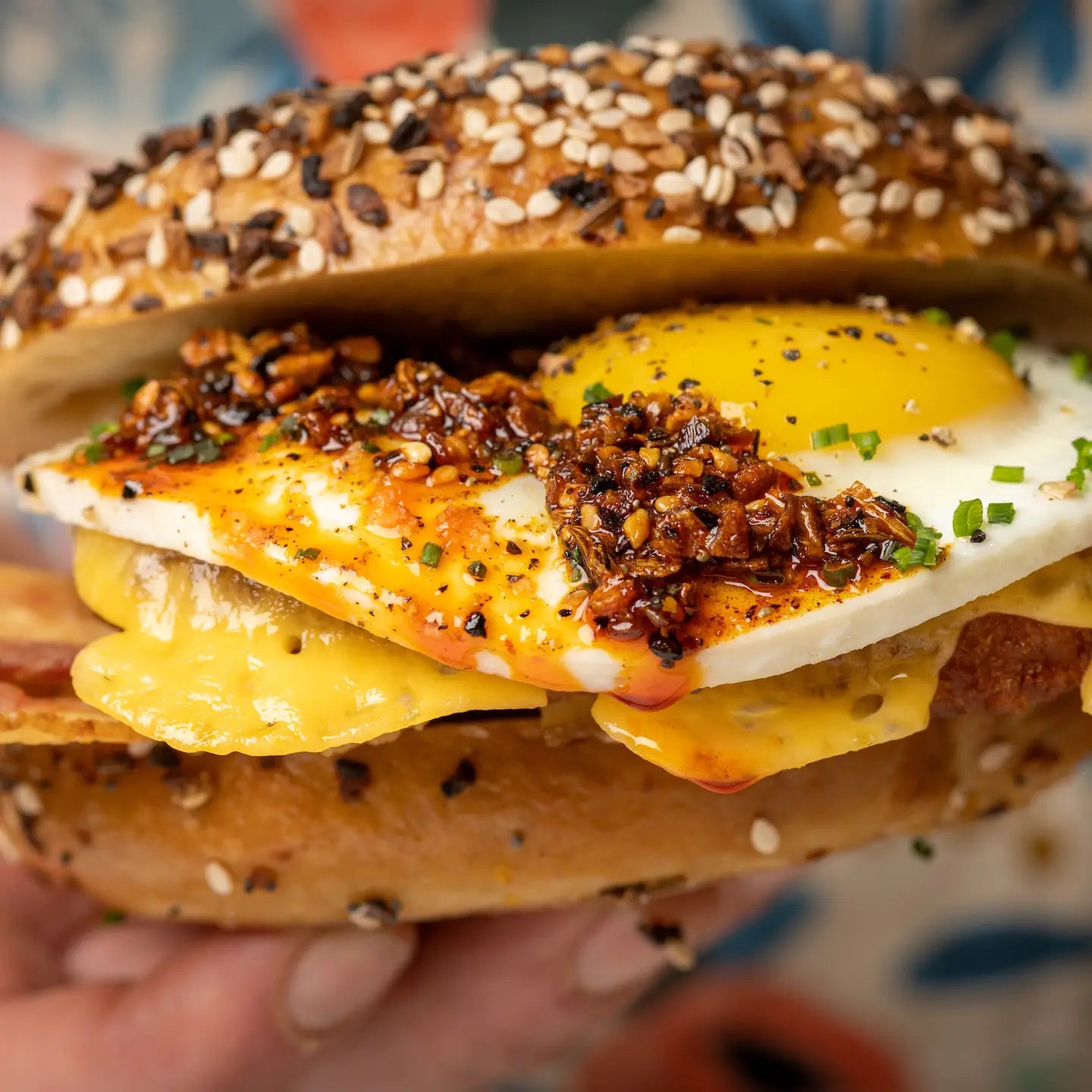 Bagel Chili Crunch // Mild or Hot
